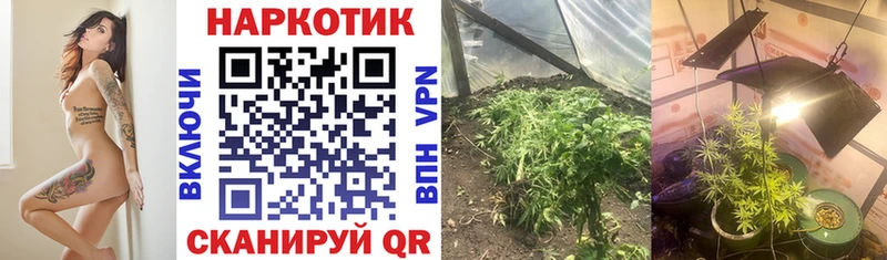 Наркошоп купить Бошки Шишки КОКАИН ГАШ СК МЕФ Макаров