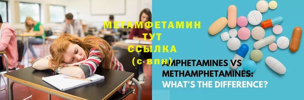 ПСИЛОЦИБИНОВЫЕ ГРИБЫ Ельня