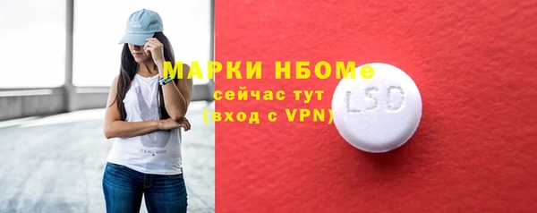 ПСИЛОЦИБИНОВЫЕ ГРИБЫ Ельня