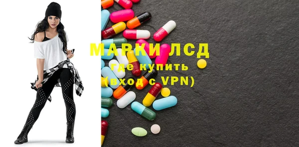 ПСИЛОЦИБИНОВЫЕ ГРИБЫ Ельня