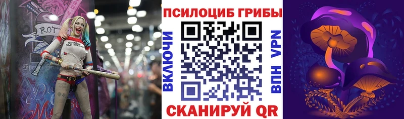 Купить  Макаров  Псилоцибиновые грибы GOLDEN TEACHER 